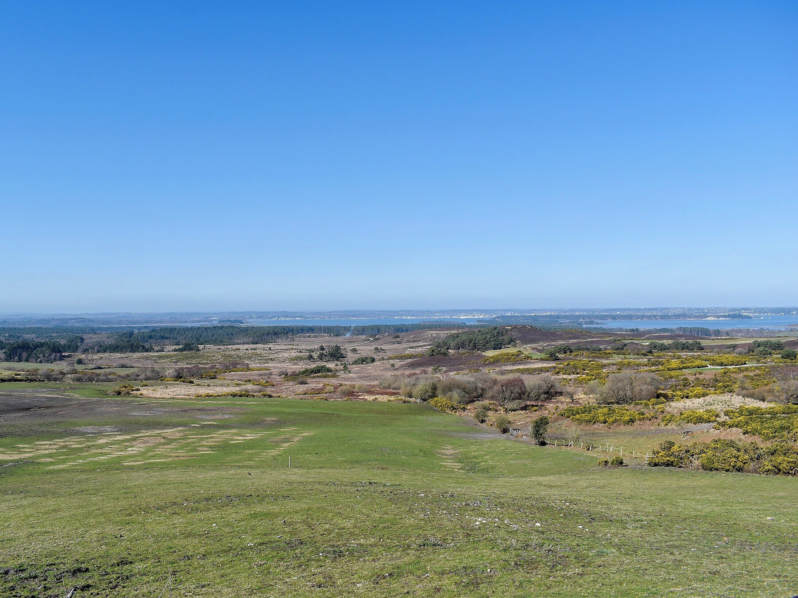A panoramic view of a rural landscape with open fields, scattered trees, and a distant body of water.