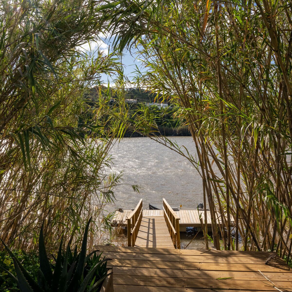 Jardines del alojamiento