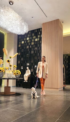 Pet-friendly - Hyatt Regency Mexico City Insurgentes - WTC (Mexico City)