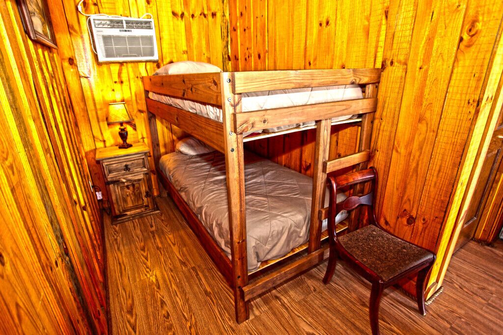 A bunk bed room with wooden walls and a small bedside table with a lamp.