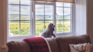 Un chien est assis près d’une fenêtre donnant sur un paysage rural.
