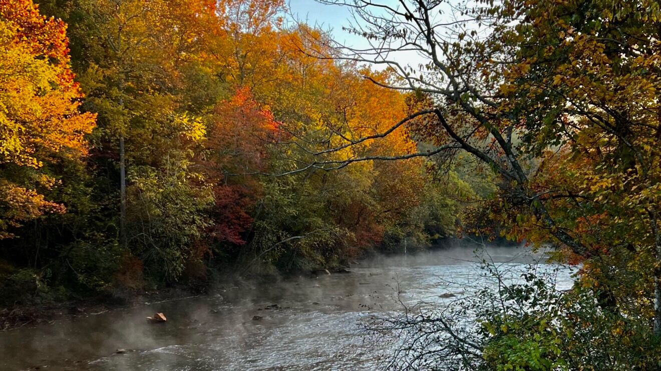 Autumn views from the river deck. We love seeing the mist rise!