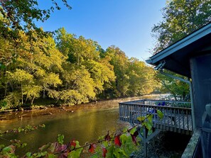 Property grounds - River’s Edge Retreat: Amazing Views, Screen Porch, Decks, Grill, Fish, One Floor (Hayesville)