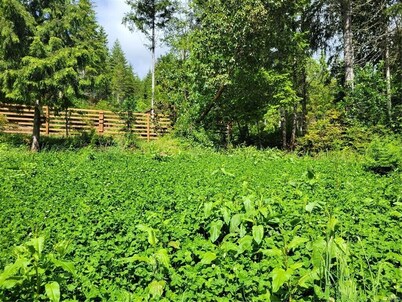 Experience privacy and tranquility in this Tiny Home with amazing views!