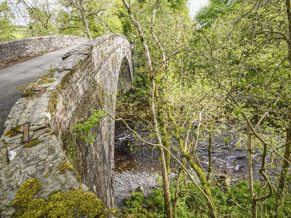 Un puente de piedra sobre un río, rodeado de abundante vegetación y árboles.