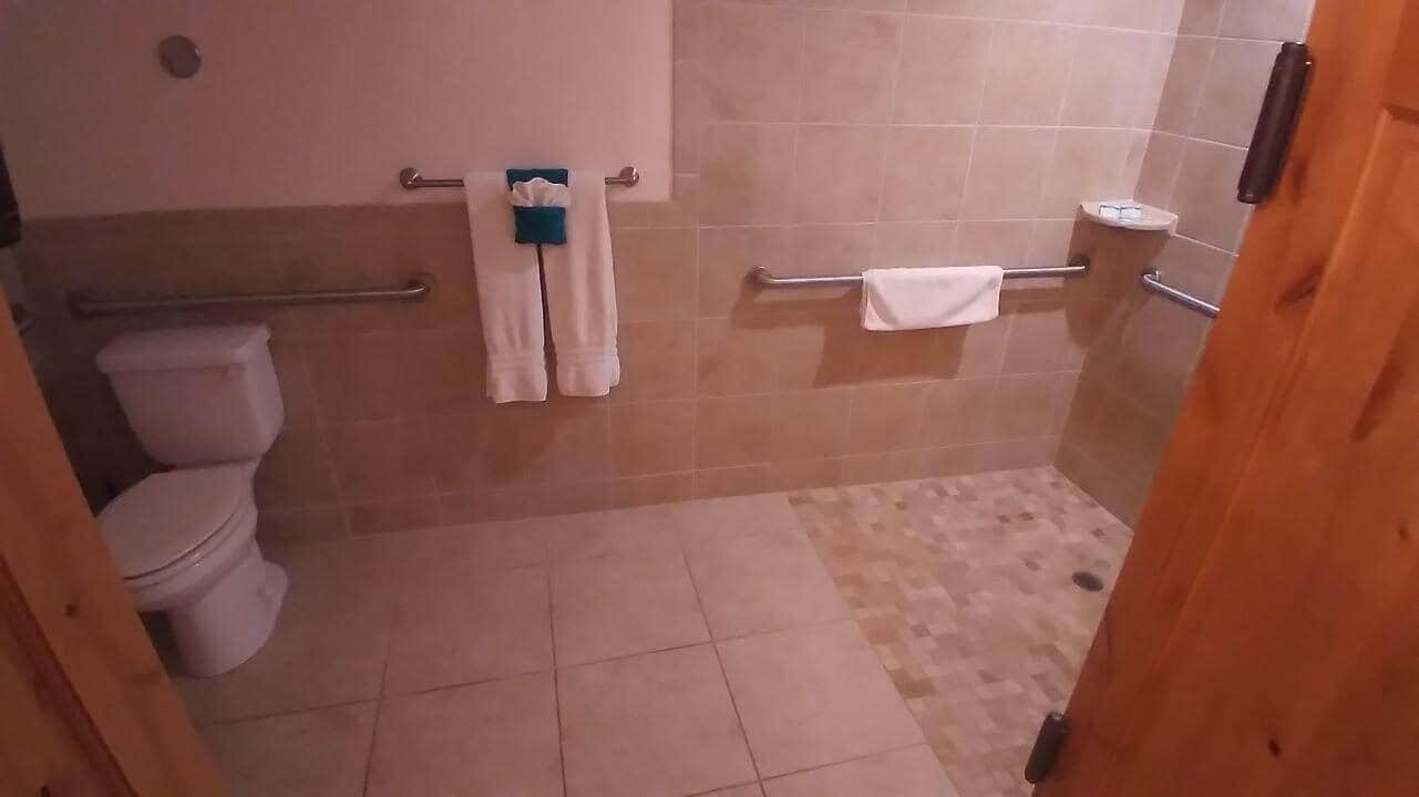 Bagno con toilette, zona doccia e barra di sostegno.