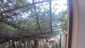 A courtyard with a brick floor, a metal gate, and potted plants.