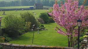 A rural landscape with a stone wall, a stone building, and a pink flowering tree. - 3 bedroom accommodation in Cold Eaton, Alsop-en-le-Dale (Cold Eaton, Alsop-en-le-Dale)
