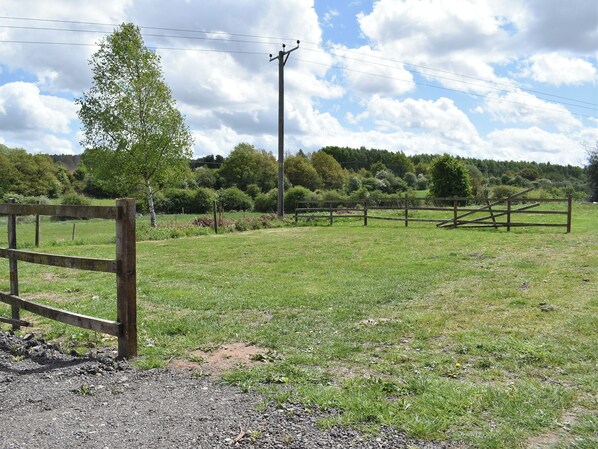 A rural landscape with a gravel path, wooden fence, and a power line. - Sherwood Forest Lodge 2 (Kings Clipstone, near Mansfield)