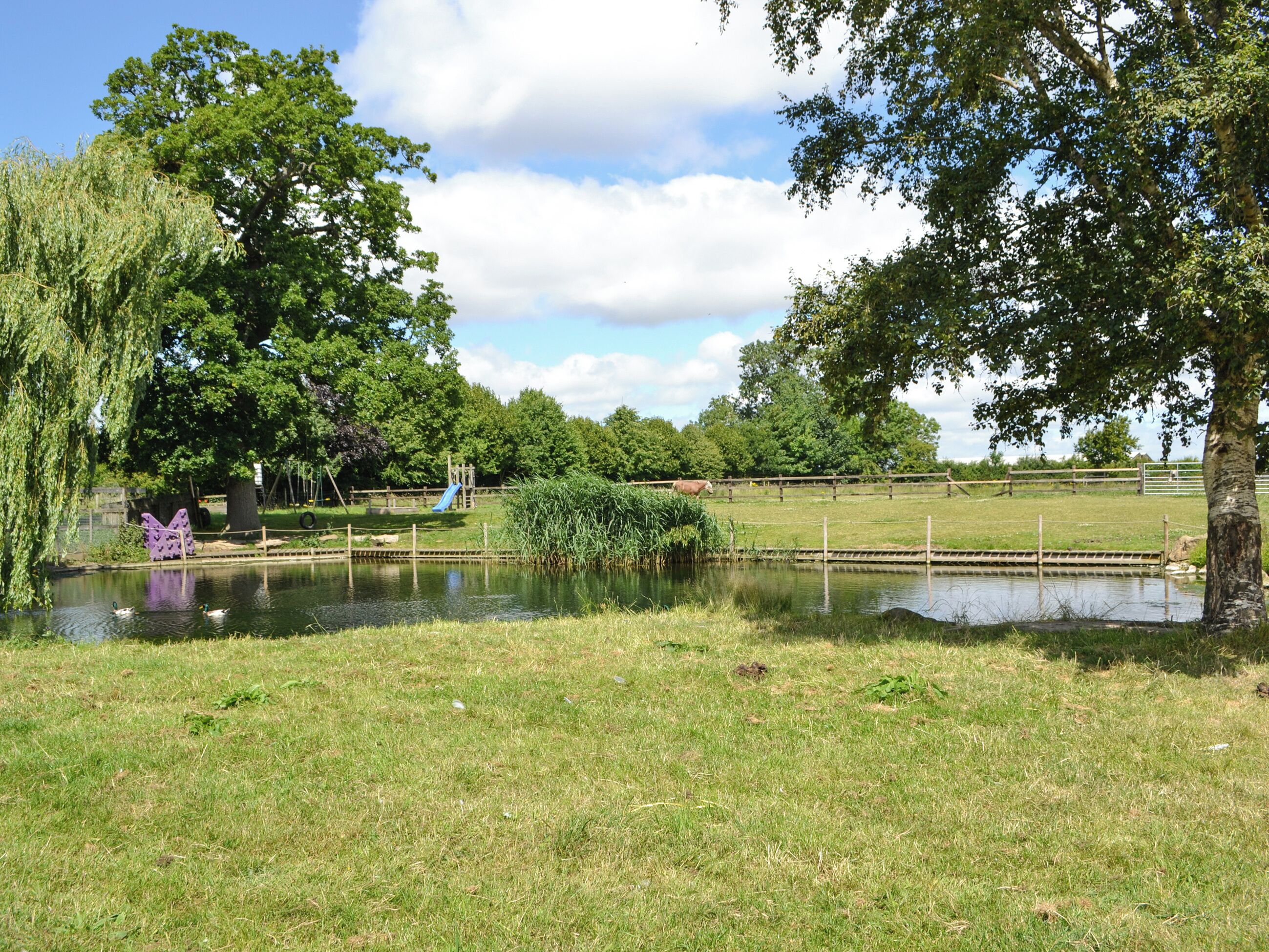 A park with a pond, grassy areas, trees, and a playground.