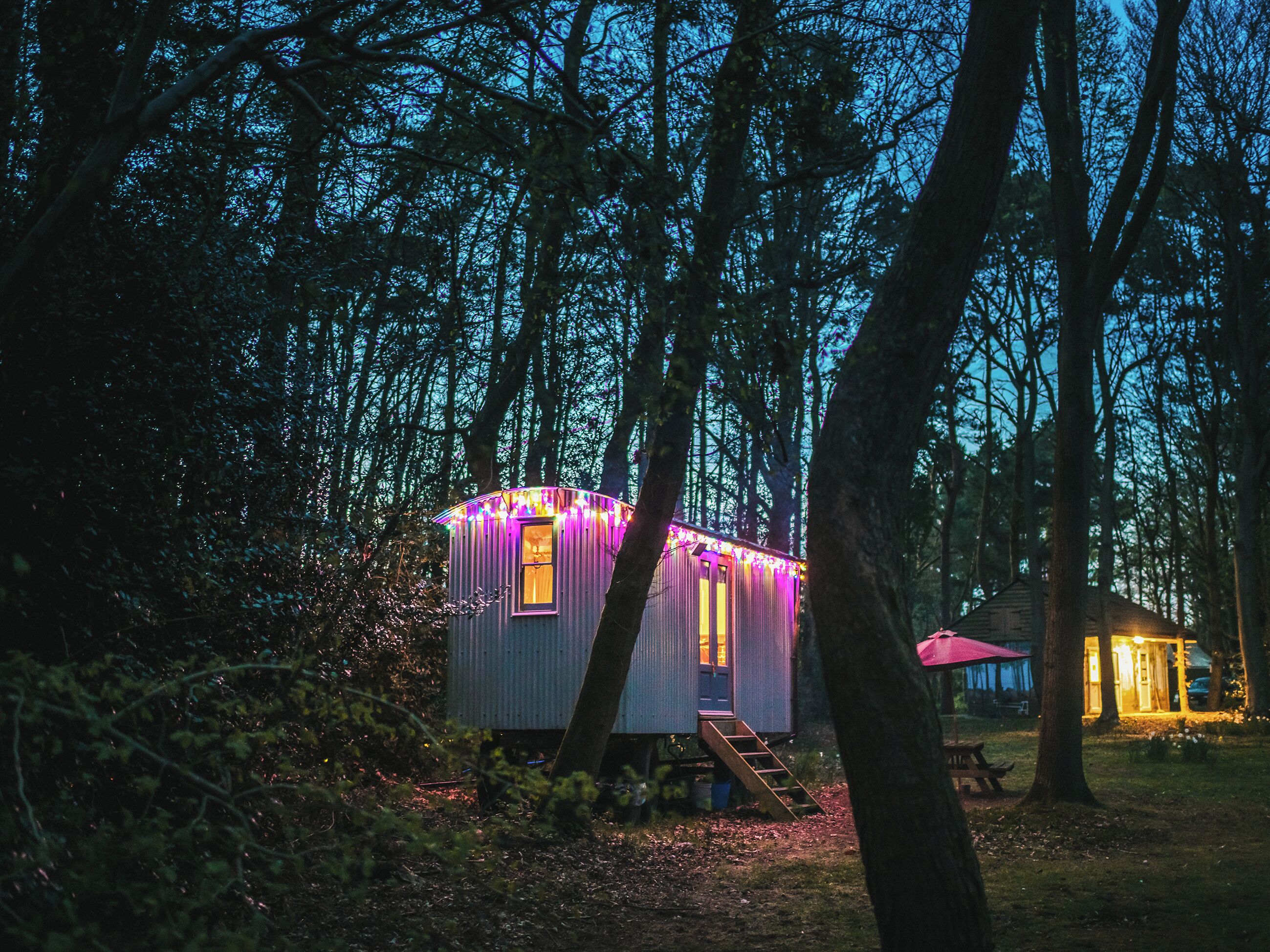 Eine kleine Holzhütte mit einer Leiter, die zum Eingang führt, umgeben von Bäumen.