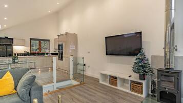 TV, fireplace