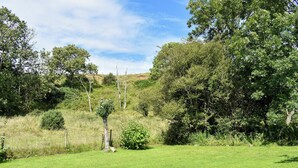Uklassifisert bilde, 4 av 17, knapp