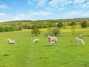 Miscellaneous - 2 bedroom accommodation in Blacknest, near Alton (Blacknest, near Alton)