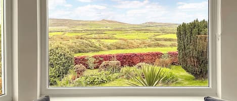 Una habitación con un ventanal grande que ofrece vistas a un paisaje verde con colinas y un arbusto rojo.
