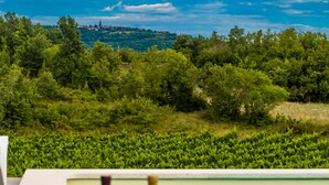 A poolside view with two bottles of wine and a scenic landscape in the background. - Romantic istrian stone house (Pracana, Buzet)