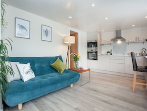 TV - 1 bedroom accommodation in Bideford (Bideford)