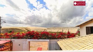 A view of a property with a sandy landscape, red flowering plants, and a clear sky.