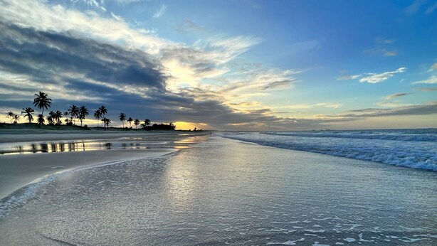 A beach with a wide sandy shore, calm waves, and palm trees under a partly cloudy sky.