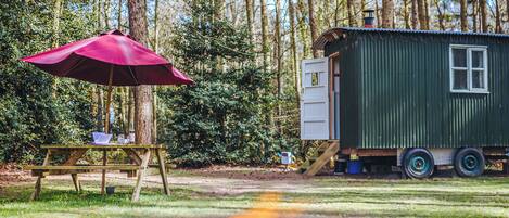 Àrea exterior de l'allotjament