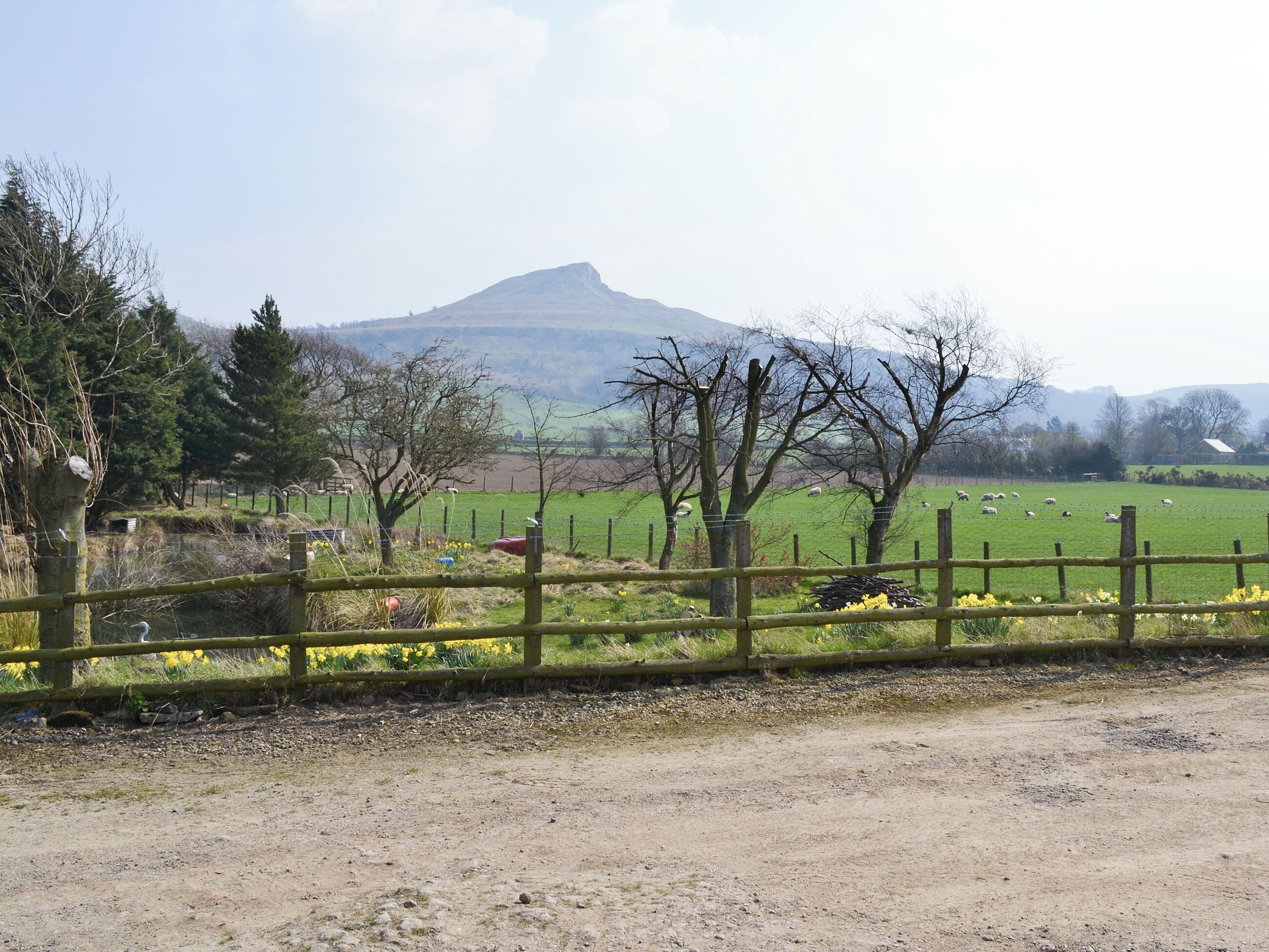 Ländliche Landschaft mit einem Berg im Hintergrund, einem eingezäunten Bereich mit gelben Blumen und einem Feldweg.