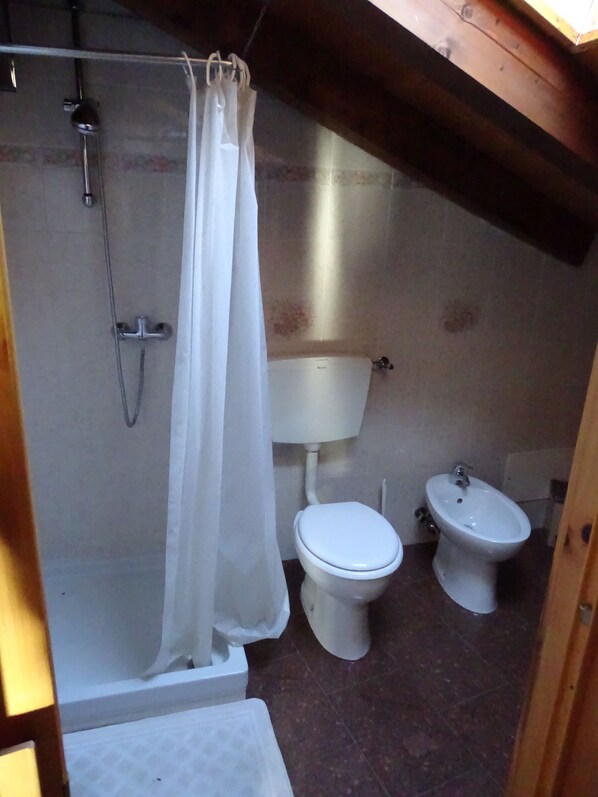 Shower, bidet - Peace and relaxation in the Aosta Valley Alps (Allein)