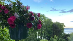 Una maceta colgante con flores rosas y rojas, un césped y una vista al mar y árboles en el fondo.