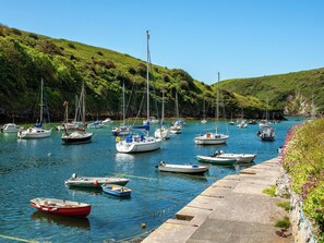 Marina - A beautifully renovated classic Pembrokeshire cottage with original charm. (Solva, Haverfordwest)