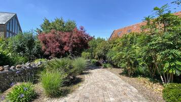 Un sendero pavimentado en un jardín con diversas plantas y arbustos.