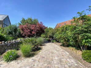 Un sendero pavimentado en un jardín con diversas plantas y arbustos.