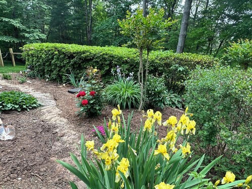 3 Dog Night (Vacation Rental) Private. 7 min to T.I.E.C