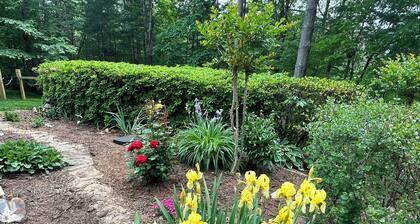 3 Dog Night (Vacation Rental) Private. 7 min to T.I.E.C