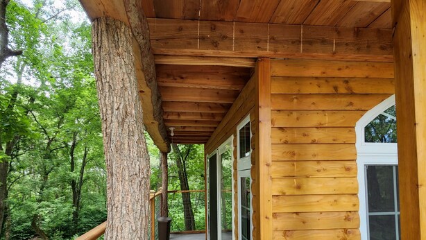 A wooden deck with a railing, surrounded by trees, leading to a building with large windows. - One of a kind Treehouse on the Genesee River (BELFAST)