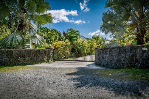 BRAND NEW - Lave Suite - Large Studio Apartment