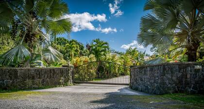 BRAND NEW - Lave Suite - Large Studio Apartment