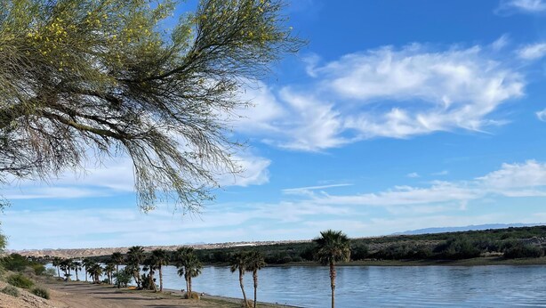 A sandy beach with palm trees and a clear blue sky.