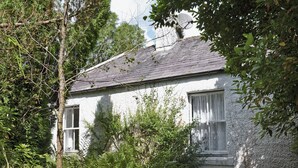 A white building with a sloped roof, surrounded by dense greenery and a bench.