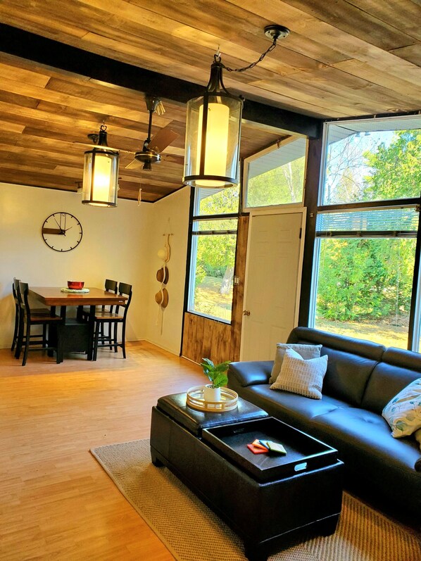 Smart TV, fireplace, DVD player, books