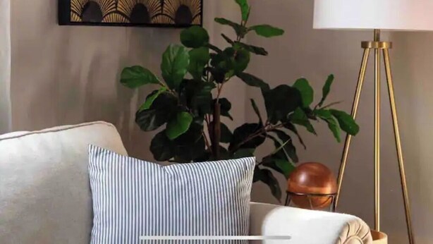 A living room with a sofa, a striped pillow, a potted plant, a floor lamp, and a wall art piece. - Uptown Glam - Best Amenities & Neighborhood (New Orleans)