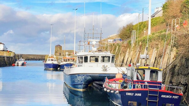 A harbor with several boats docked, including a prominent 'EMILY JANE' and 'AMLWCH PORT' vessel. - 2 bedroom accommodation in Amlwch (Amlwch)