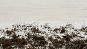 Ein Strand mit ankommenden Wellen.