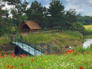 A wooden structure with a sloped roof, a green metal bridge, and a grassy field with various wildflowers. - 2 bedroom accommodation in Wheatley Hill, Durham (Wheatley Hill, Durham)