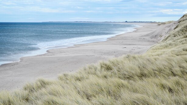 Une plage avec un rivage sablonneux et des dunes herbeuses.