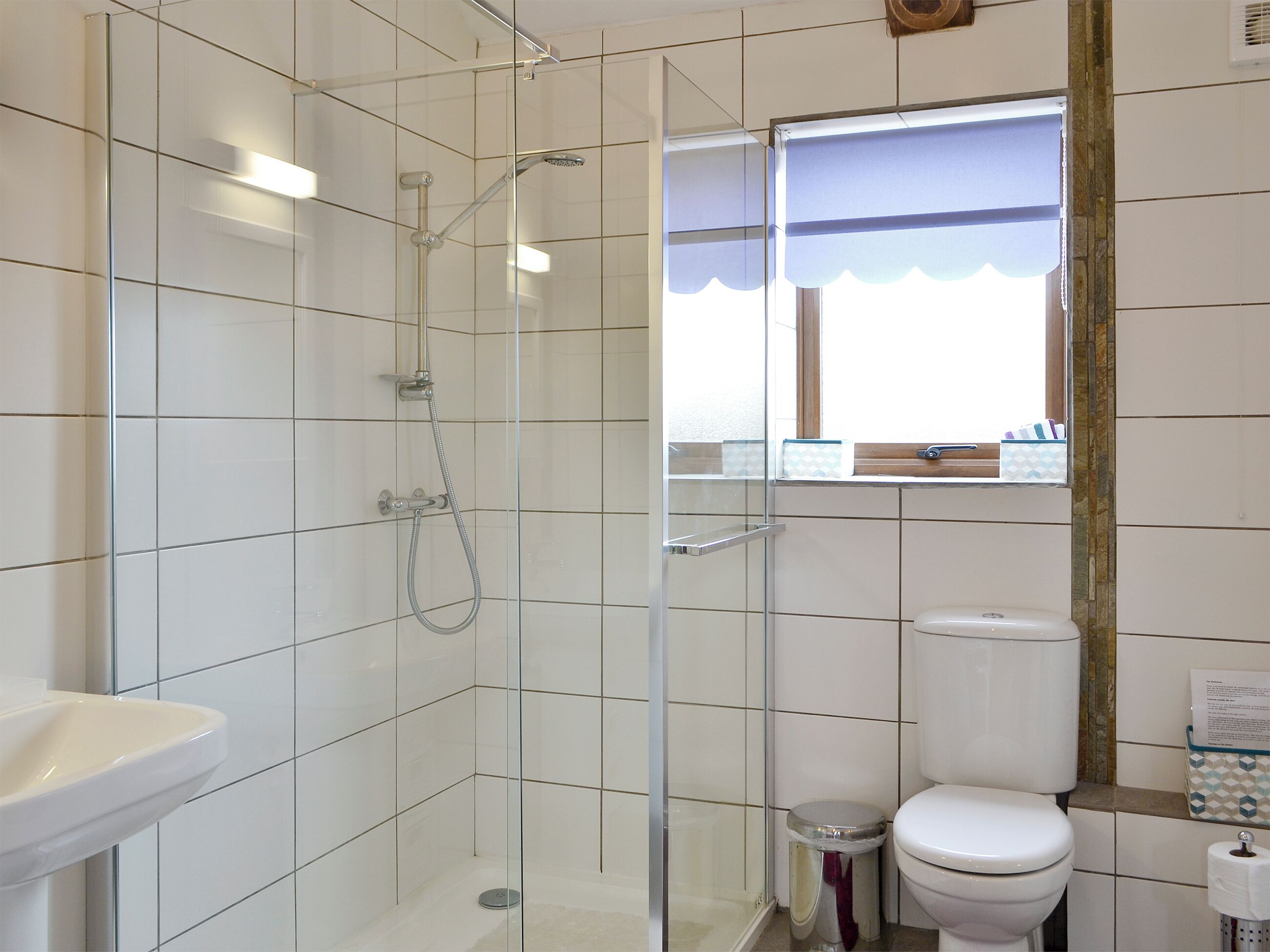 A modern bathroom with a glass-enclosed shower, a white sink, and a toilet.