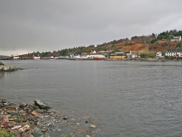 Une ville côtière avec un littoral rocheux, des bâtiments et des bateaux.