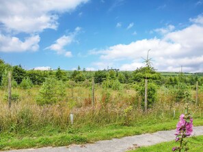Property grounds - 3 bedroom accommodation in Woolsery, near Hartland- Bideford (Woolsery, near Hartland- Bideford)