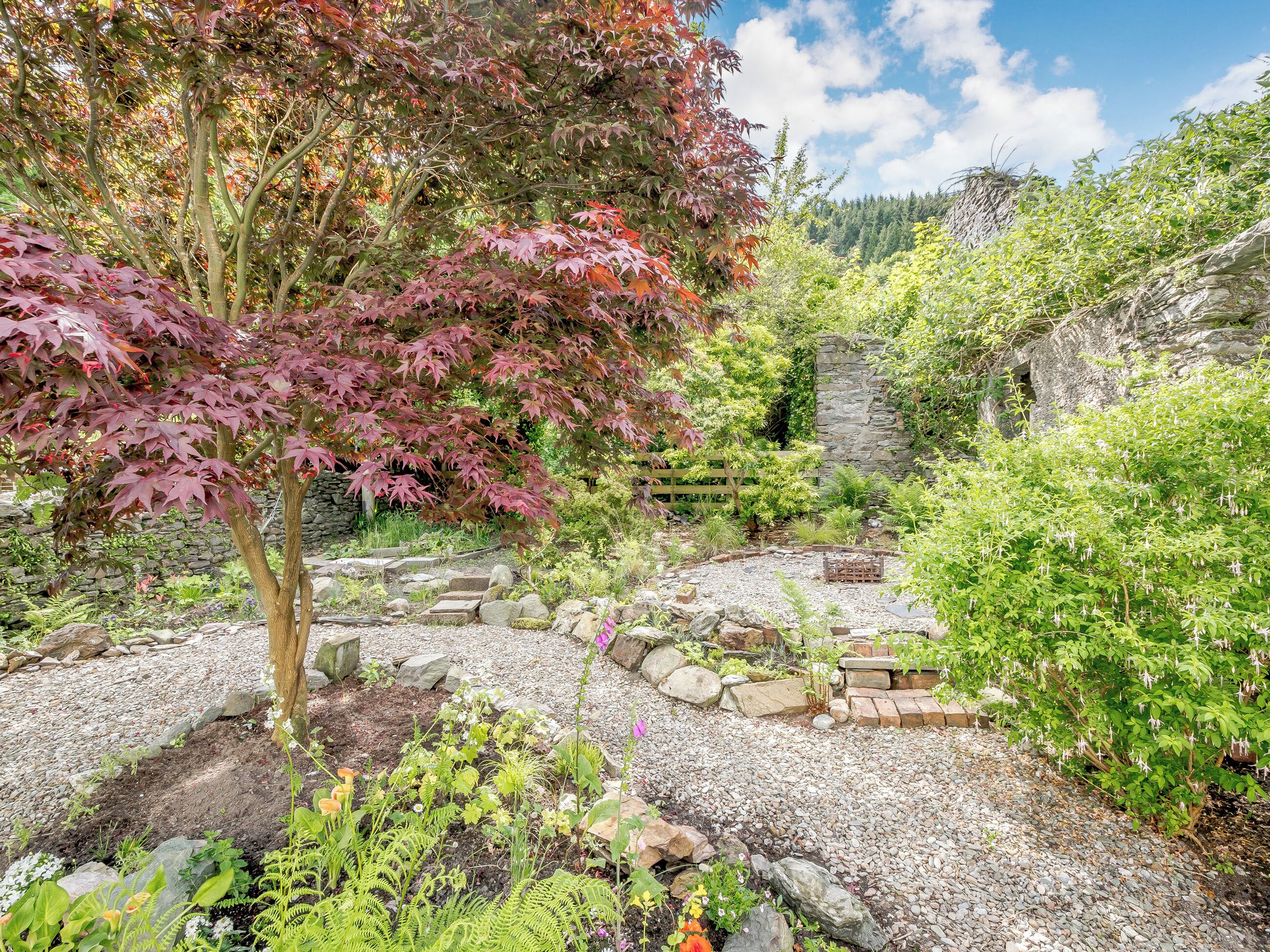 المنطقة المحيطة بالمنشأة