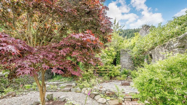 Un jardin avec un mur de pierre, un arbre aux feuilles rouges et diverses plantes.