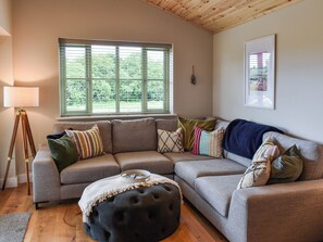 TV, fireplace - 3 bedroom accommodation in St Columb, near Padstow (St Columb, near Padstow)