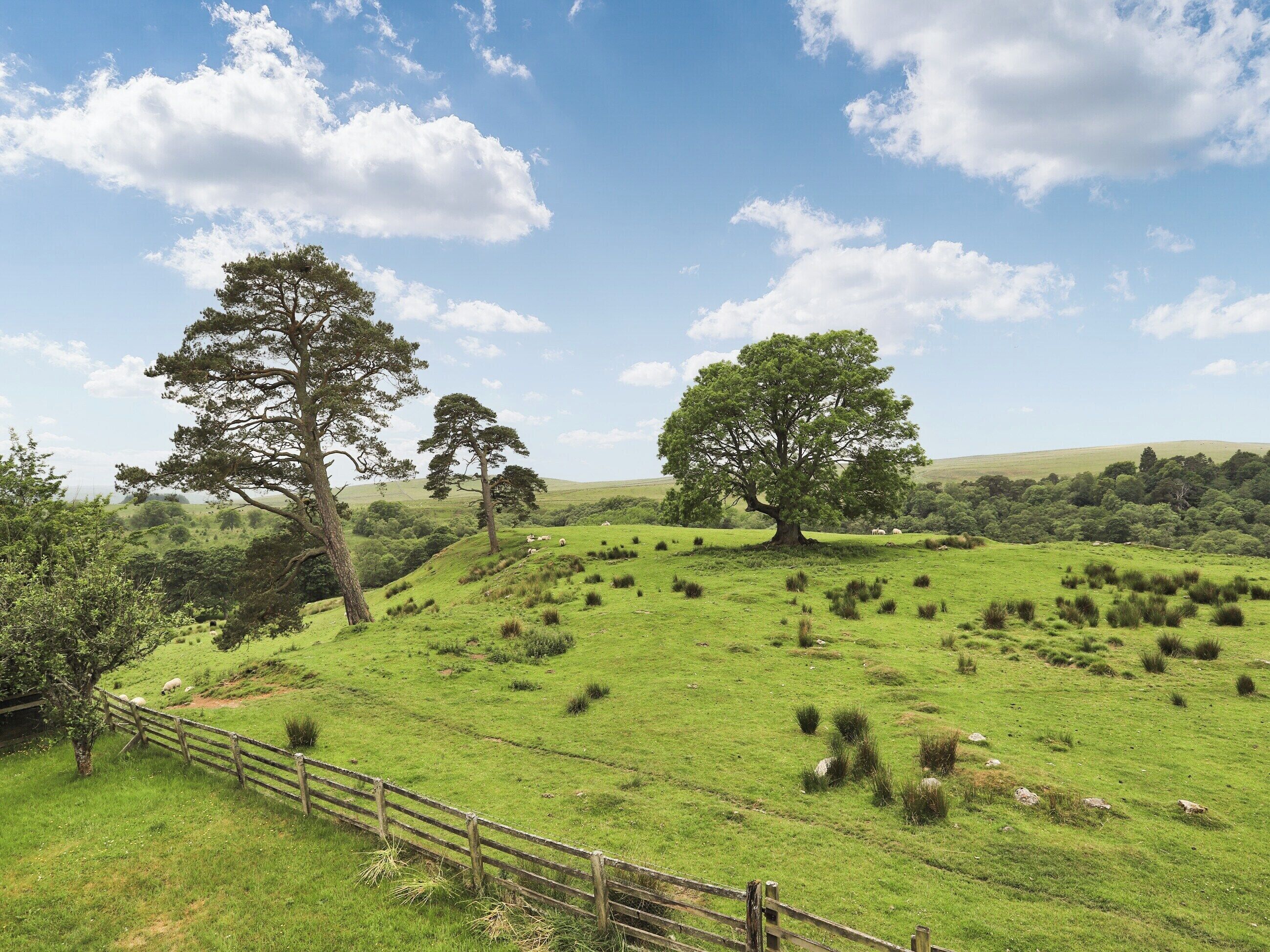 A rural landscape with rolling hills, a wooden fence, and grazing sheep.